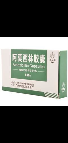 抗之霸 抗生素領(lǐng)域的有力背脊