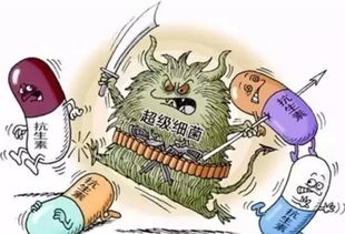 無抗養(yǎng)殖 衡量水產(chǎn)未來的天平，抗生素扮演關(guān)鍵砝碼