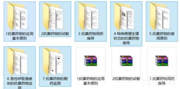 第十一季呼吸疾病感染與抗生素應(yīng)用專題精品課件深度解析